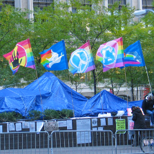 Flags flying over Occupy Wall Street